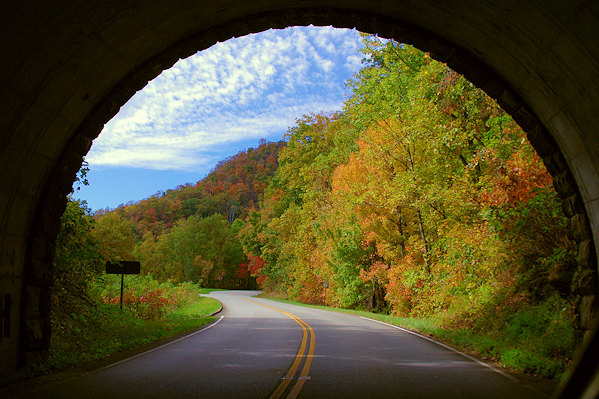 fall_tunnel