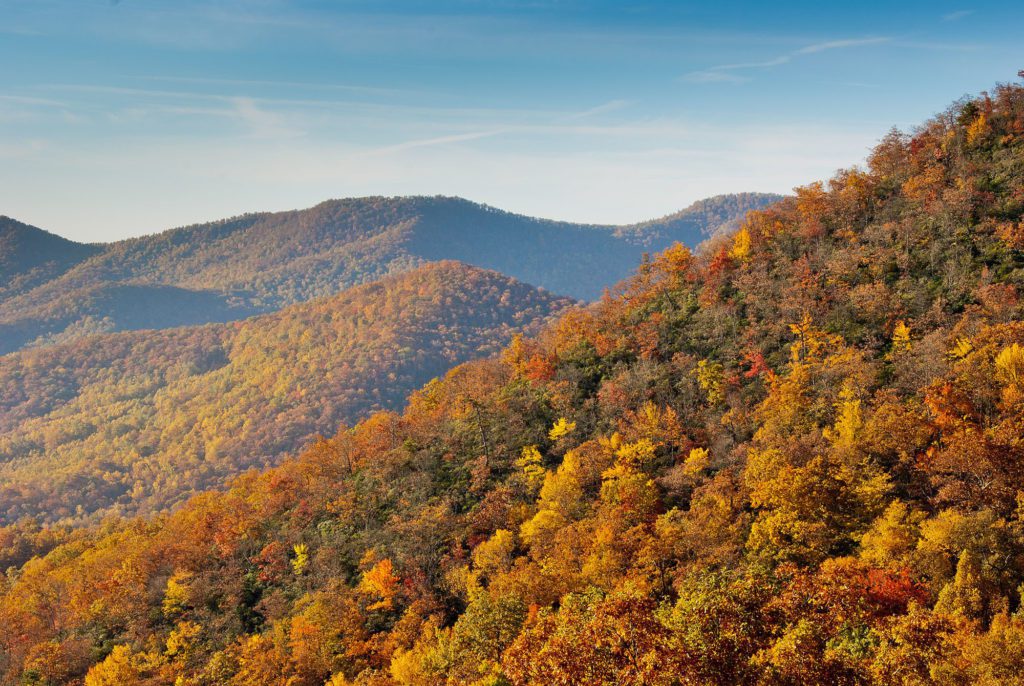 asheville fall